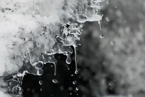 Spring drops from the melt ice 写真素材