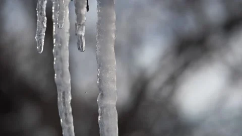 Spring drops, melting icicles hanging from the drain. Stock Footage 149305081