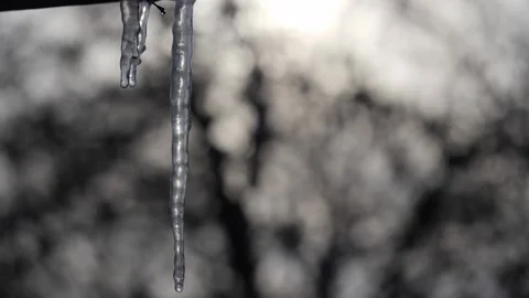 Spring drops, melting icicles hanging from the drain. Stock Footage 149305594