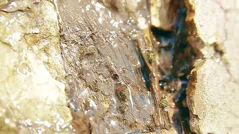 Spring drops on the old embankment Stock Footage 153052093