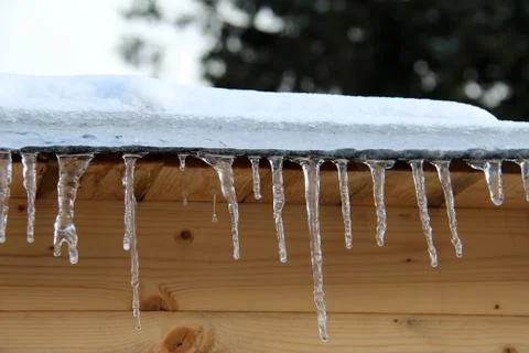 Spring drops Stock Photos