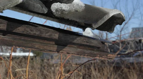 Spring drops from slate Stock Footage 36233109