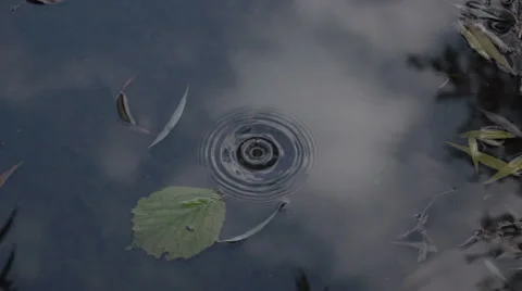 Spring Drops. Slow Motion at a rate of 250 fps 스톡 동영상 68583252