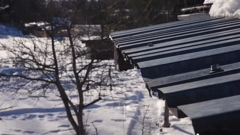 Spring drops slow-motion shooting. Meltwater drips from the roof on a sunny s Stock Footage 186793025