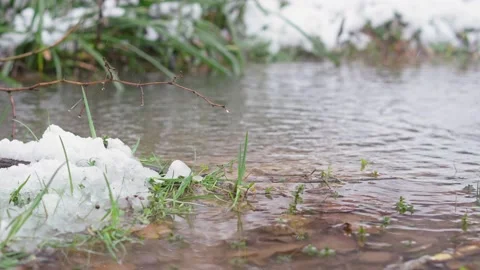 Spring drops in the small creek. Green grass covered with melting wet snow. Stock Footage 236681852