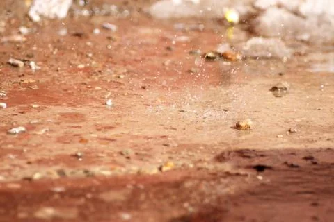 Spring drops on the street in a large macro the increase of the sun Stock Photos