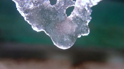 Spring drops,4k Footage Stock Footage 72147821