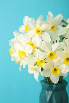 Spring easter background with daffodils bouquet in vase on blue background Stock Photos