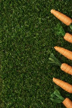 Spring easter background of green grass and orange carrots. Place for your te Stock Photos