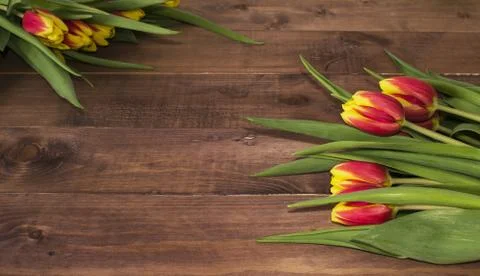 Spring Easter bouquet of tulip flowers on wooden background. Stock-Fotos
