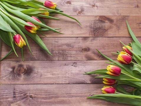 Spring Easter bouquet of tulip flowers on wooden background. Stock Photos
