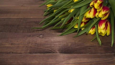 Spring Easter bouquet of tulip flowers on wooden background. Stock Photos