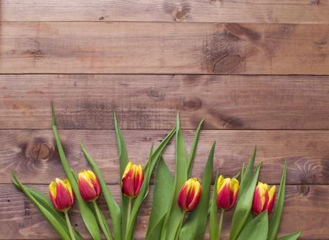 Spring Easter bouquet of tulip flowers on wooden background.Flat lay Stock Photos