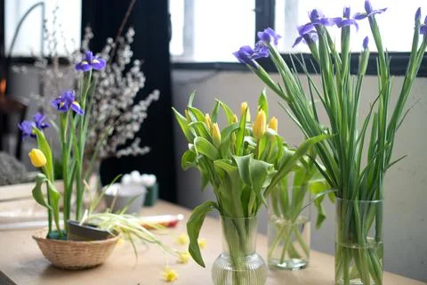 Spring Easter bouquets of fresh flowers in vases on the table at home. Stock Photos