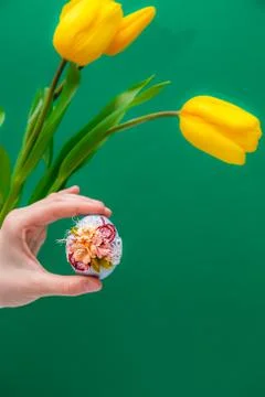 Spring easter card. Stock Photos