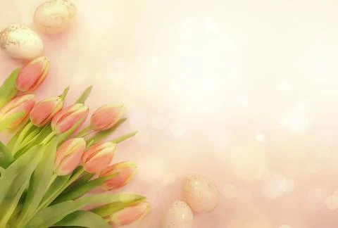 Spring Easter composition with pink tulips flowers and eggs on pastel backgro Stock Photos