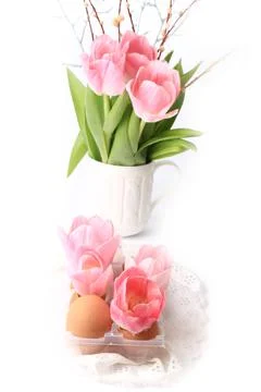 Spring Easter decoration tulips in eggs hells on a white background delicate Stock Photos