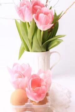 Spring Easter decoration tulips in eggs hells on a white background delicate Stock Photos