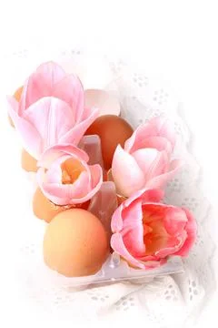 Spring Easter decoration tulips in eggshells on a white background delicate lace Stock Photos