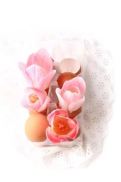 Spring Easter decoration tulips in eggshells on a white background delicate lace Stock Photos