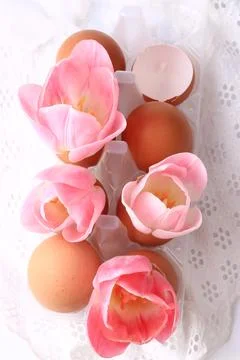 Spring Easter decoration tulips in eggshells on a white background delicate lace Stock Photos
