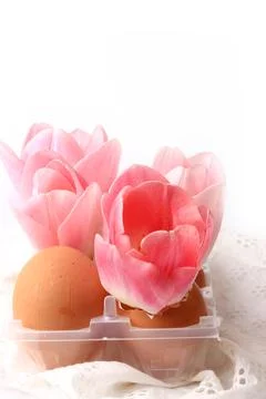 Spring Easter decoration tulips in eggshells on a white background delicate lace Stock Photos