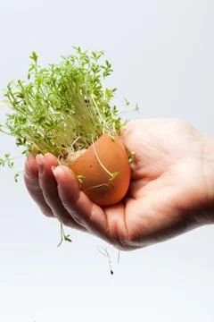 Spring easter egg in the hand Stock Photos