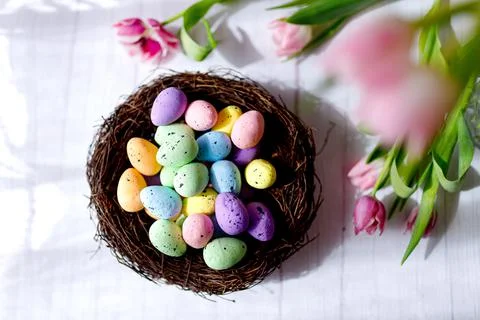 Spring easter eggs decoration. Colorful easter eggs Stock Photos