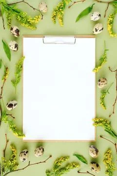 Spring easter floral frame and white blank paper. Natural tree branches, yell Stock-Fotos