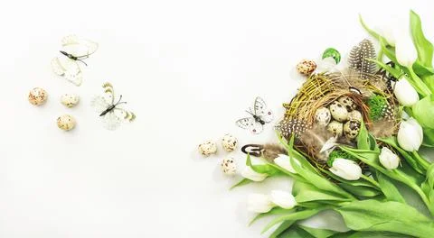 Spring Easter holiday white background with tulips, quail eggs, butterflies a Foto stock