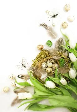 Spring Easter holiday white background with tulips, quail eggs, butterflies a Stock Photos