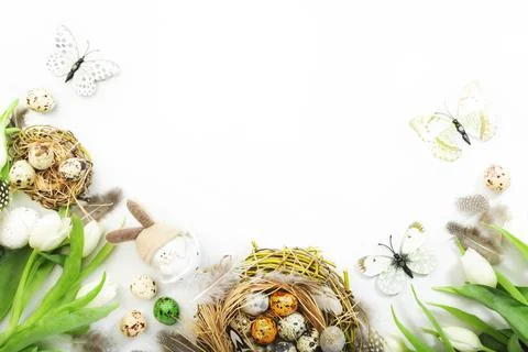 Spring Easter holiday white background with tulips, quail eggs, butterflies,  Foto stock