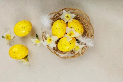 Spring Easter nest with yellow eggs, daffodils and feathers flat lay 스톡 사진