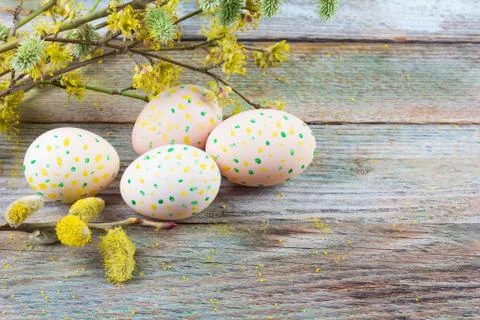 Spring Easter still life of flowering willow branches, dogwood and eggs on an Stock Photos