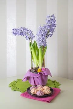 Spring Easter still life with hyacinths, chickens and meringues Stock Photos