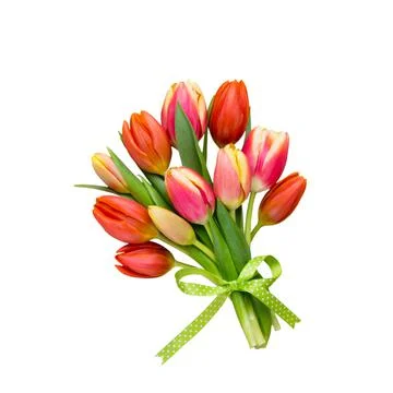 Spring easter tulips in bucket on white vintage background. Stock Photos