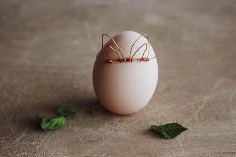 Spring egg, egg with leaves with place for text. Easter concept on wooden raw Foto stock