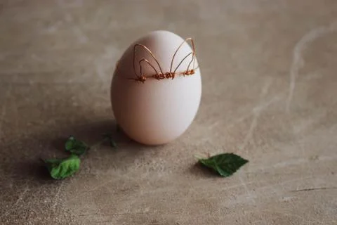 Spring egg, egg with leaves with place for text. Easter concept on wooden raw Stock Photos