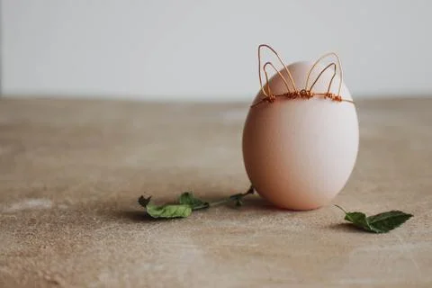 Spring egg, egg with leaves with place for text. Easter concept on wooden raw Stock Photos