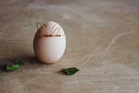 Spring egg, egg with leaves with place for text. Easter concept on wooden raw Stock Photos