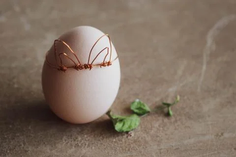 Spring egg, egg with leaves with place for text. Easter concept on wooden raw Stock Photos