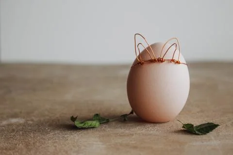 Spring egg, egg with leaves with place for text. Easter concept on wooden raw Stock Photos