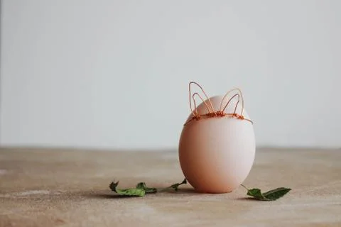 Spring egg, egg with leaves with place for text. Easter concept on wooden raw Stock Photos
