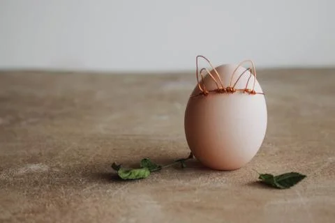 Spring egg, egg with leaves with place for text. Easter concept on wooden raw Stock Photos