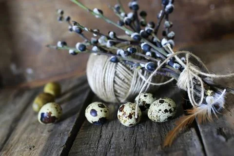 Spring egg twig willow wood background various vintage elements on old wor... 库存照片