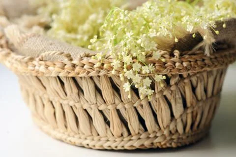 Spring Elderflowers In Basket On Table Foto stock
