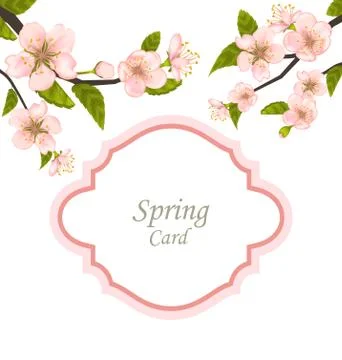 Spring Elegant Card with Blossoming Tree Branches Stock Illustration