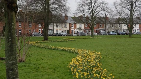 Spring in England - park with flowers Stock Footage 88399556