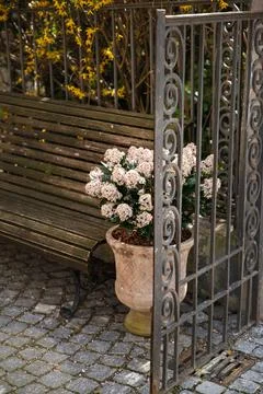 Spring in europe. Augsburg, Bavaria. Spring bloom. Foto stock