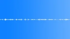 Spring European Forest AtmosphereSound Effect